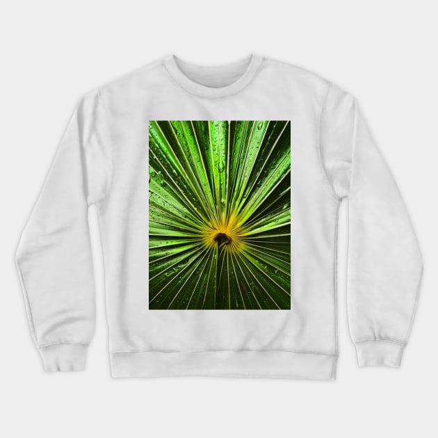 radiation Crewneck Sweatshirt by lastgasp